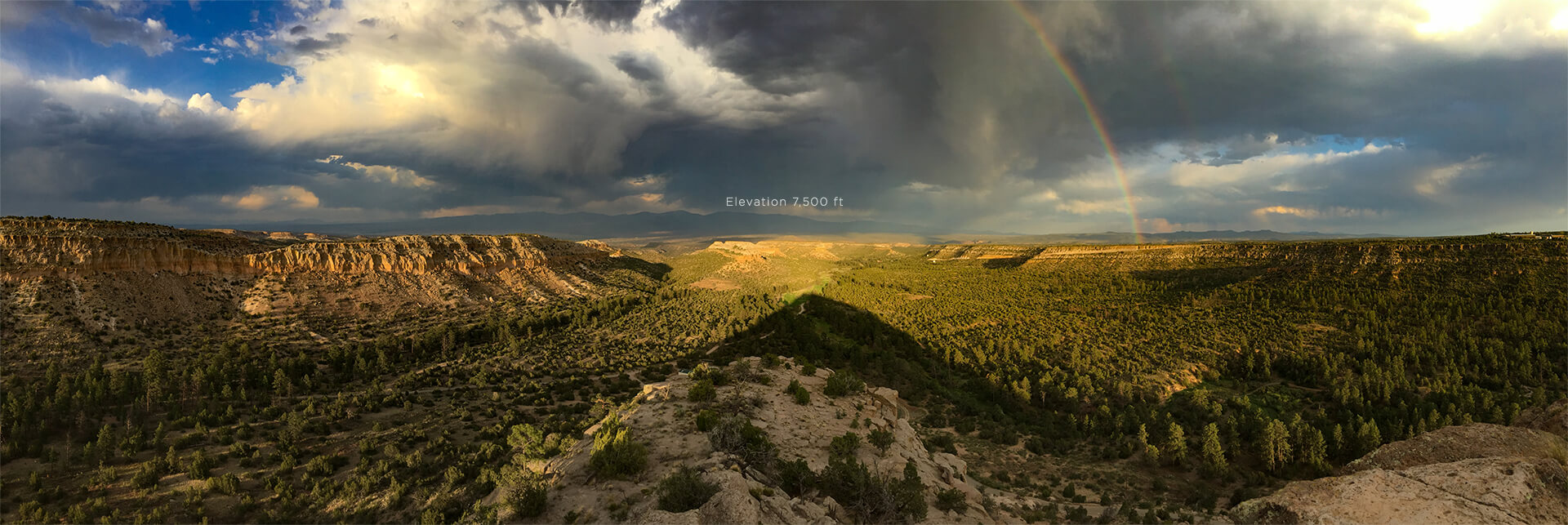 Albuquerque mountain view of Rutherford homes